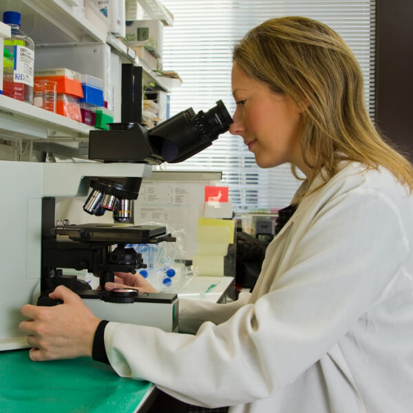 R & D Pharma Company Template Research